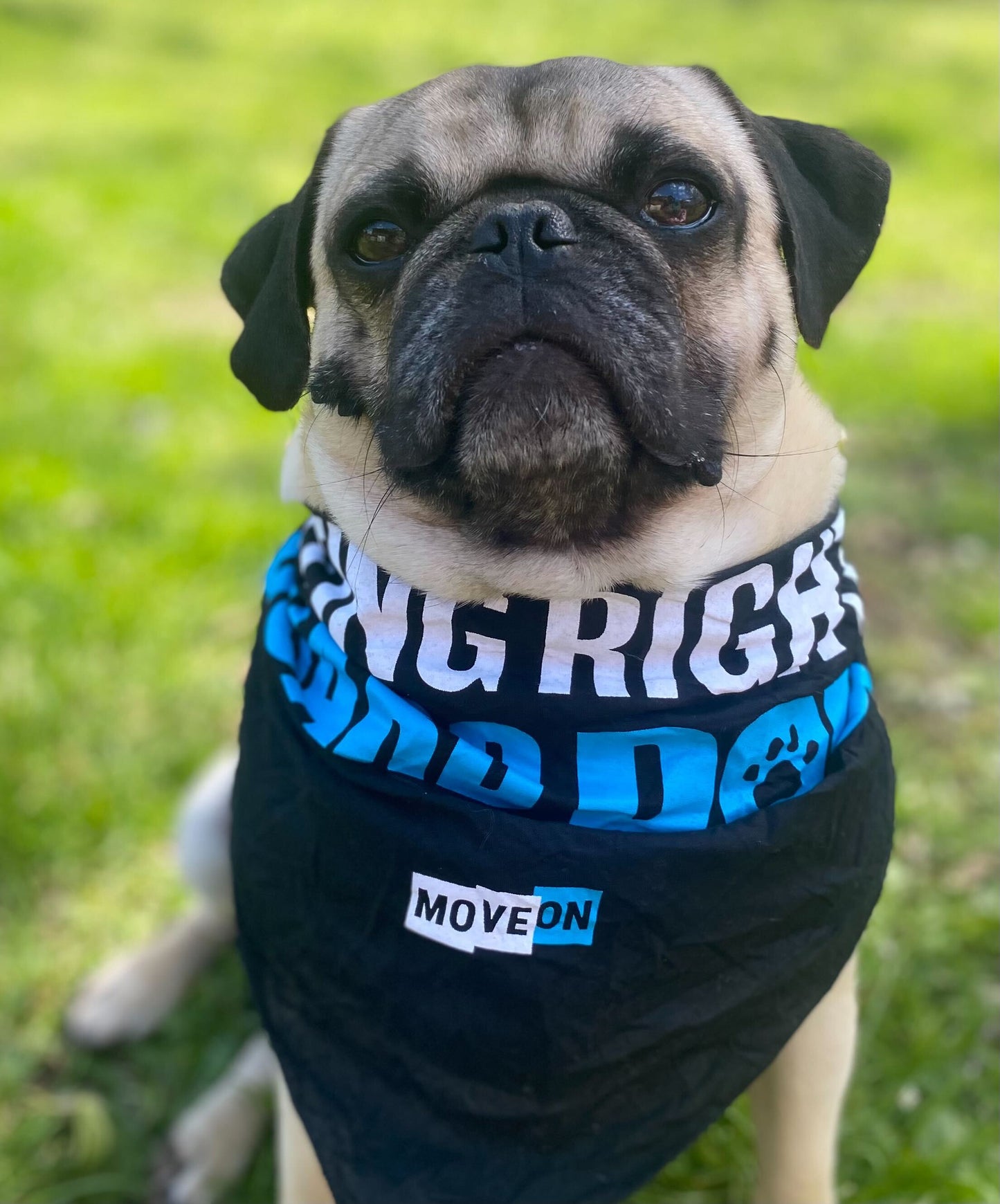 Pet Bandana: Voting Rights Guard Dog