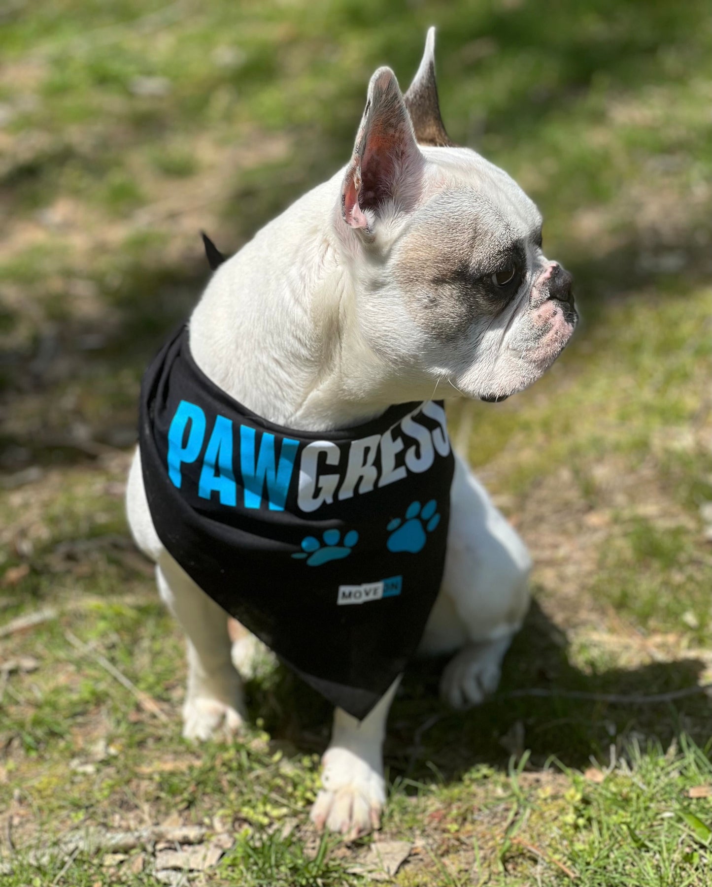 Pet Bandana: "I'm a Pawgressive!"