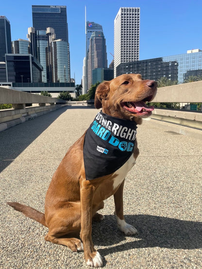 Pet Bandana: Voting Rights Guard Dog