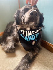 Pet Bandana: Voting Rights Guard Dog