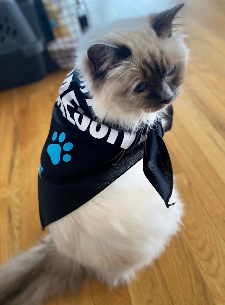 Pet Bandana: "I'm a Pawgressive!"